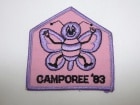80�ǣ�CAMPOREE�������륹������
