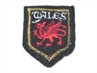WALES ��åڥ�