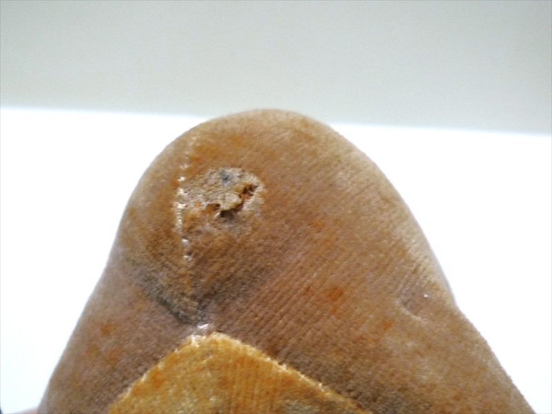 50��60's �ɥ꡼��ڥå� �ѥ����