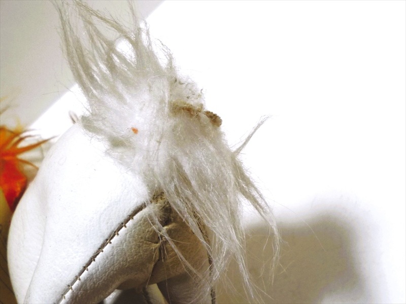 60��70�ǣ� �� �̤������