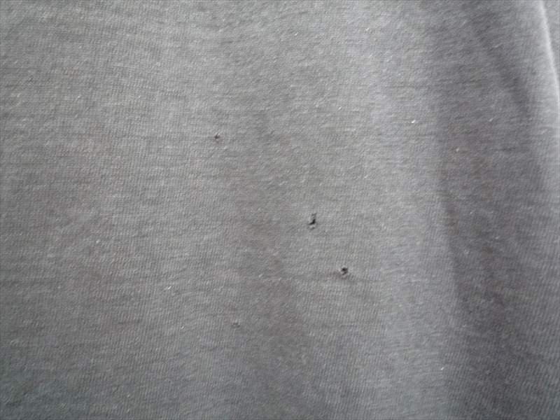 80ǣRIDING A HONDA HARLEY-DAVIDSON