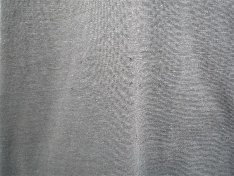 80ǣRIDING A HONDA HARLEY-DAVIDSON