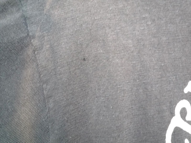 80ǣRIDING A HONDA HARLEY-DAVIDSON