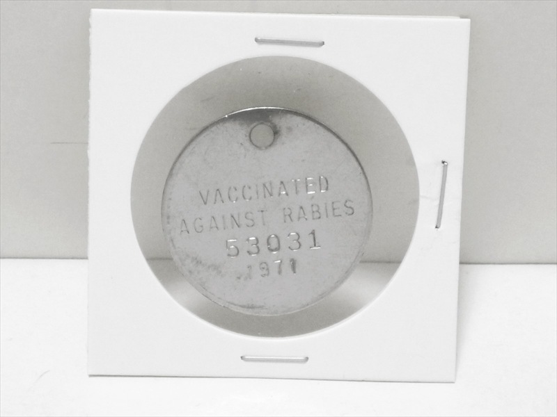 1971ǯɥå饤󥹥53031