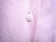 50�ǣ�Diamond�����ߥ����