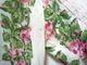 50�ǣ� Lady Hathaway Shirt Digby Morton ���ߥ����