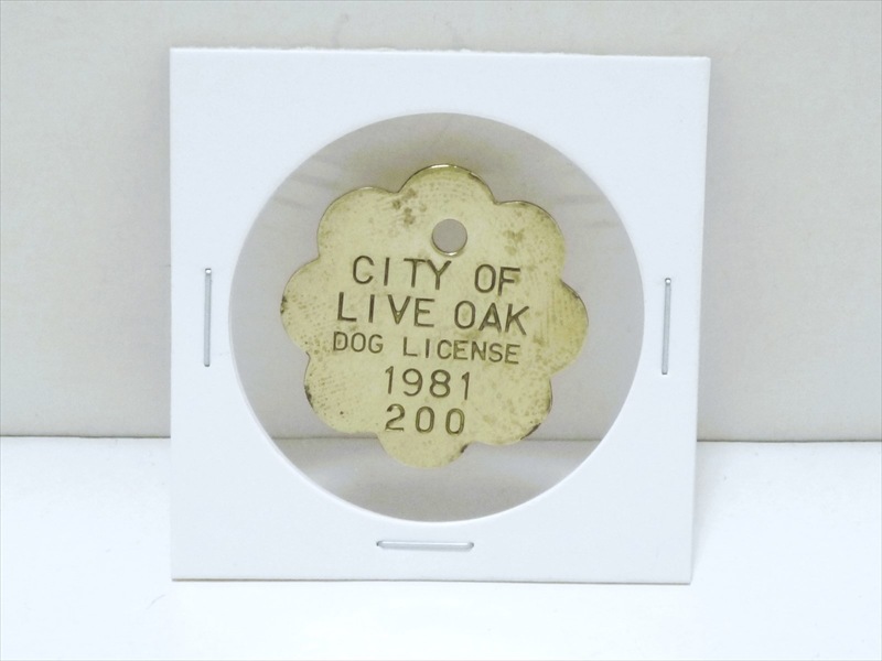 1981ǯ���ɥå��饤���󥹥��� CITY OF LIVE OAK����200��