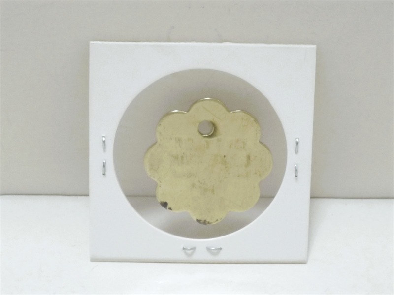 1981ǯ���ɥå��饤���󥹥��� CITY OF LIVE OAK����200��