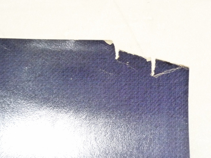 1981ǯ��Levi's���ݥ�����