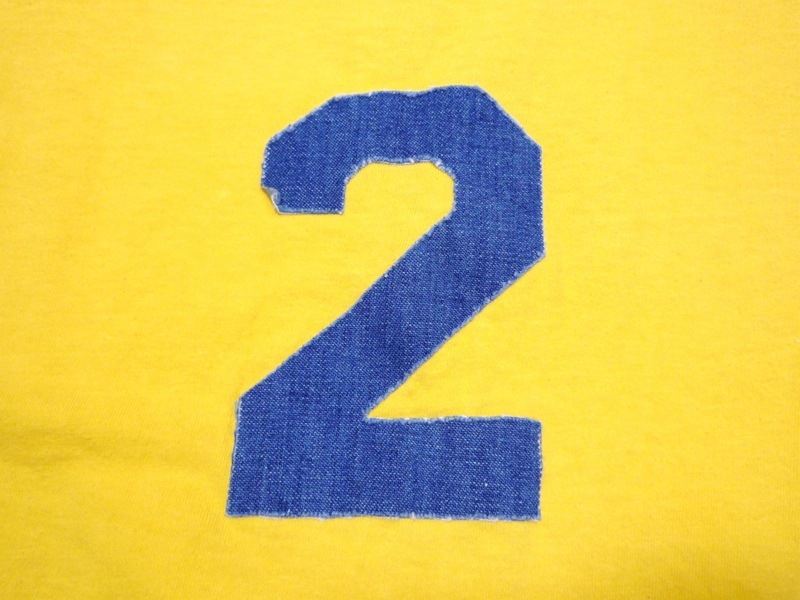 70�ǣ�Sport-T by STEDMAN�����󥯥ȥåס�