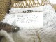 80�ǣ�Levi's517��STA-PREST