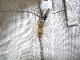 80�ǣ�Levi's517��STA-PREST