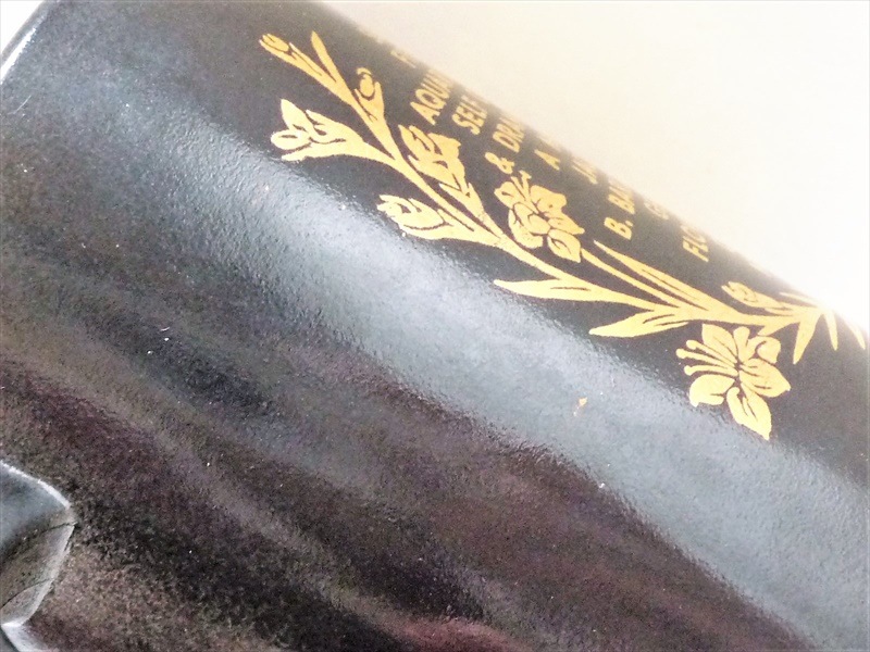 �ե��ǥ�롡���ǥ����å���Leo�ʤ����¡�