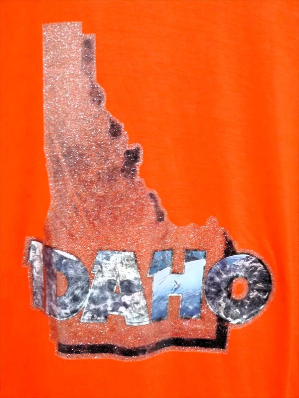 70��80�ǣ�IDAHO����󥬡�T�����