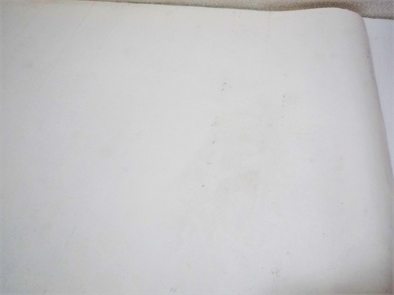 1979ǯ��Levi's��We Put a Little Blue Jean in Everything We Make���ݥ�����