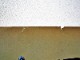 1978ǯ��Levi's��Movin' On���ݥ�������by D. McMacken