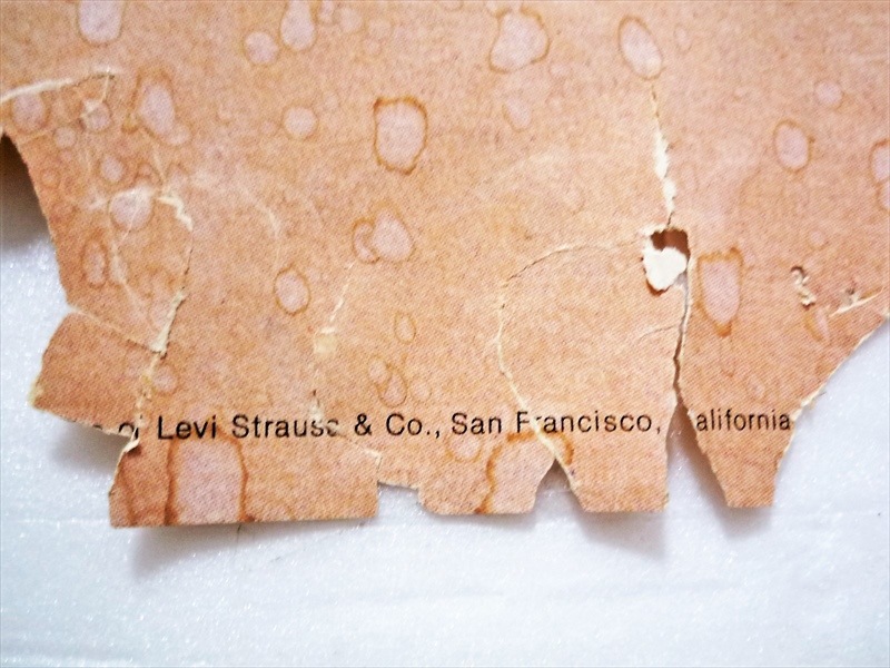 70�ǣ�LEVI'S��Accept No Fakirs���ݥ�������