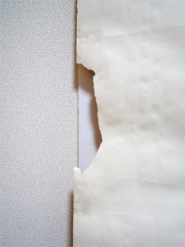 1983ǯ��LEVI'S��Two Horse Patch �ݥ�����