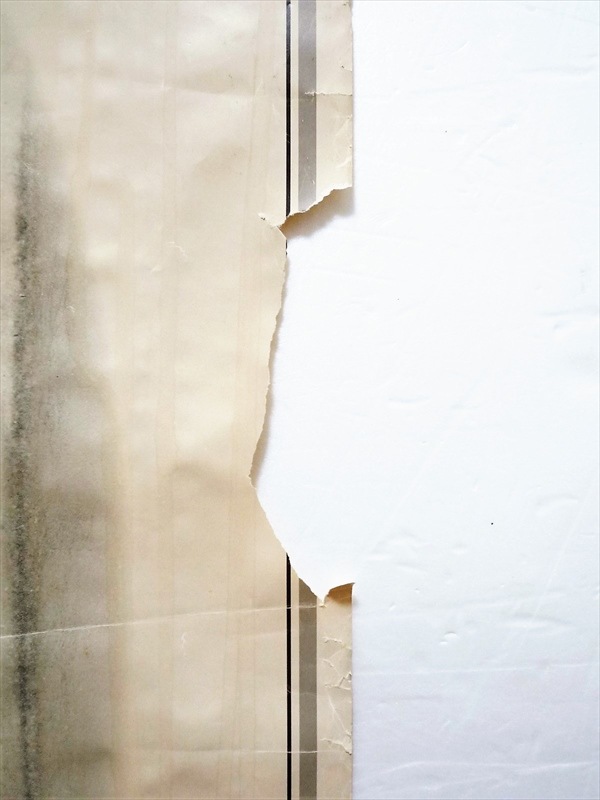 1983ǯ��LEVI'S��Two Horse Patch �ݥ�����