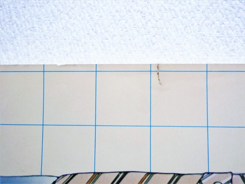 1980ǯ��Levi's Shirts���ݥ�����