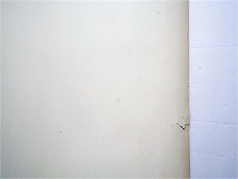 1980ǯ��Levi's Shirts���ݥ�����