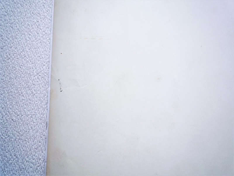 1980ǯ��Levi's Shirts���ݥ�����