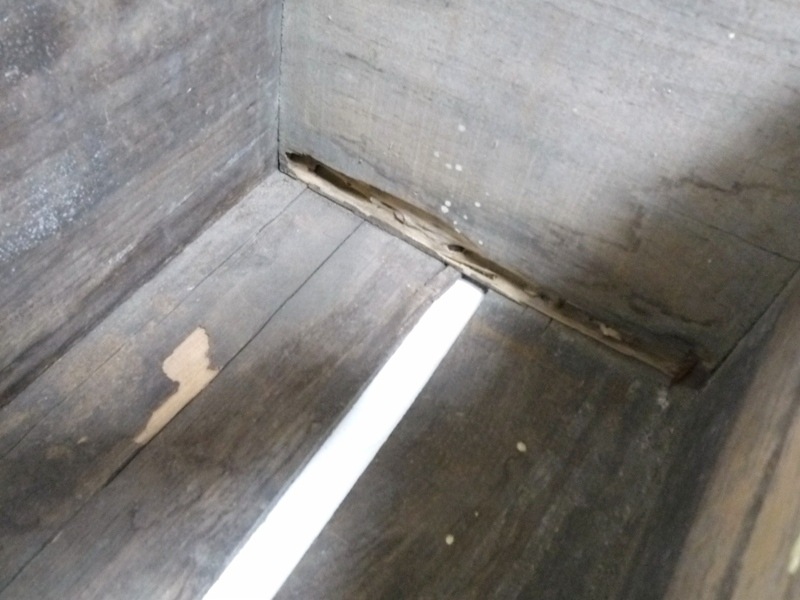 7UP��������ơ�����Ȣ