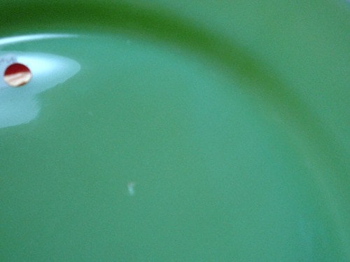 �����������ǥ��ʡ��ץ졼��