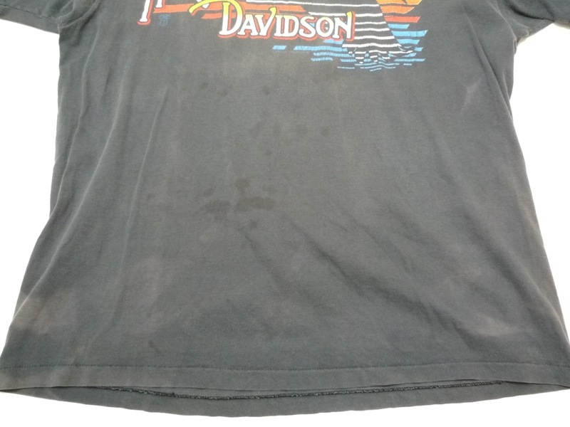 80�ǣ󡡥ϡ��졼���ӥåɥ���CAJUN CYCLES