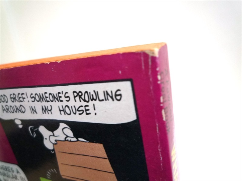 70�ǣ󡡥��̡��ԡ����ܡ�What Now Charlie Brown