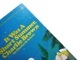 70�ǣ󡡥��̡��ԡ����ܡ�It was a Short Summer, Charlie Brown�����顼
