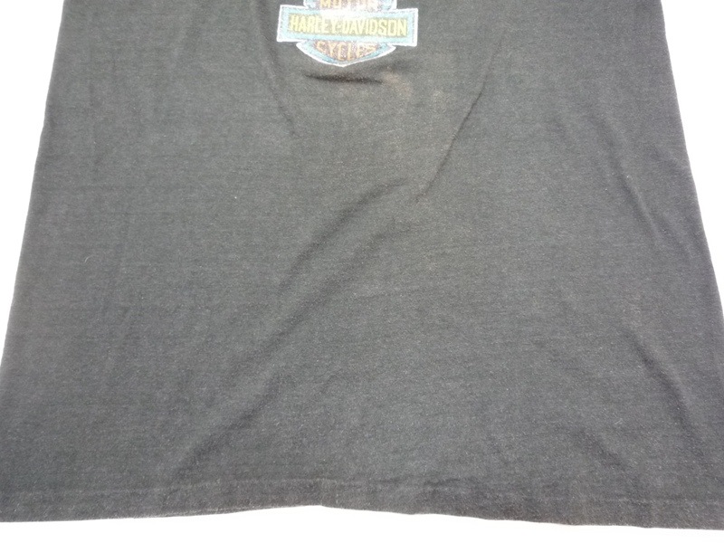 80�ǣ�Harley Davidson