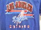 80�ǣ�champion��Los Angeles��DODGERS