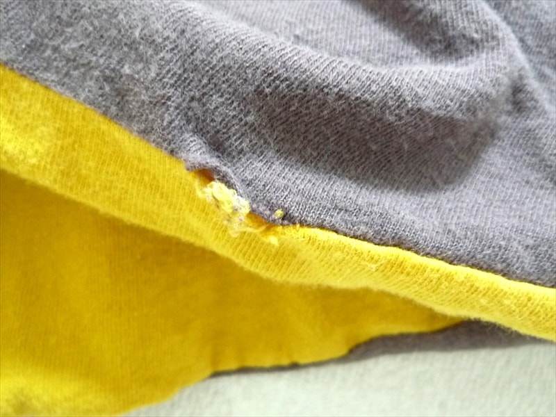 80ǣchampion100󥳥åȥ󡡥С֥롡߲