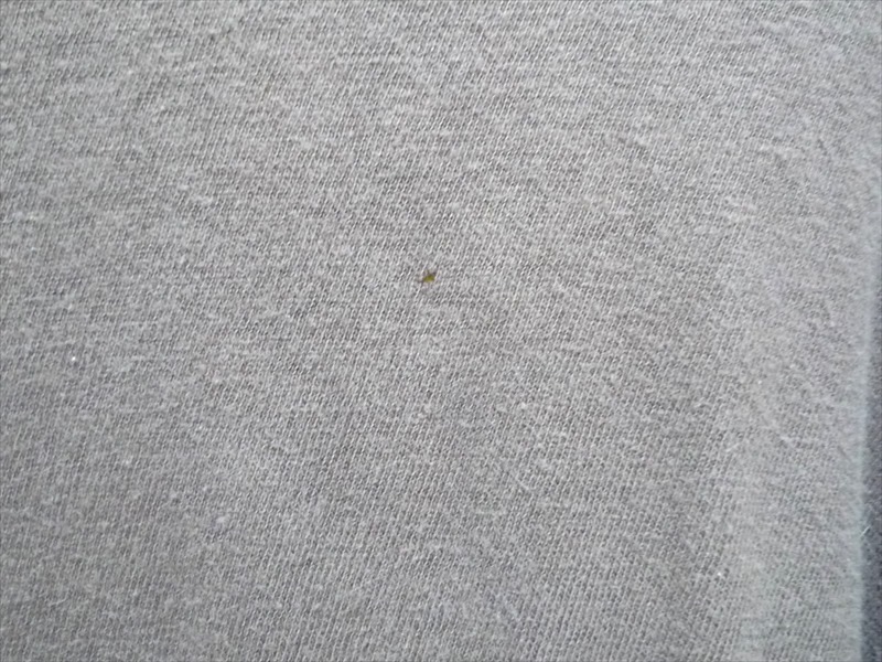 80ǣchampion100󥳥åȥ󡡥С֥롡߲