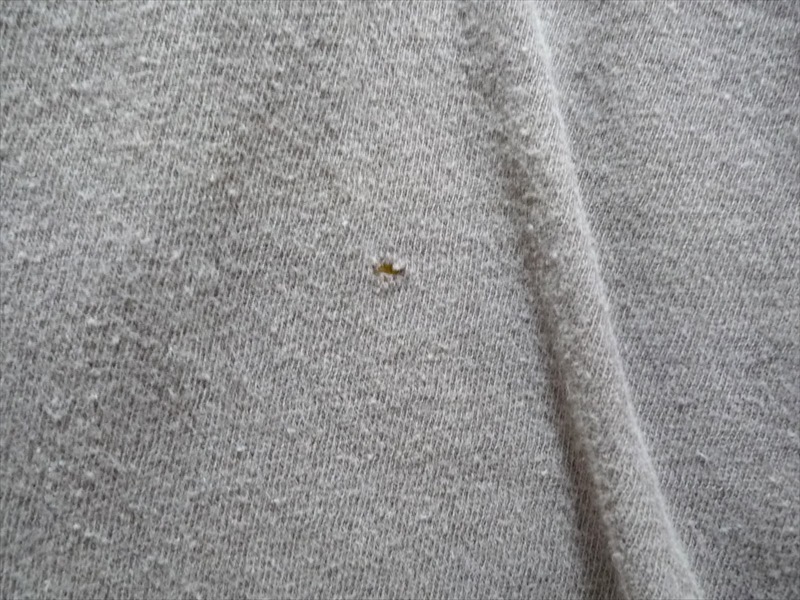 80ǣchampion100󥳥åȥ󡡥С֥롡߲