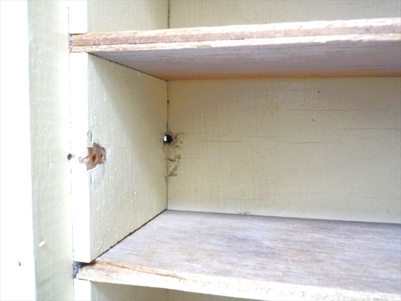 ����ӡ����å���ê���ָ��դ�