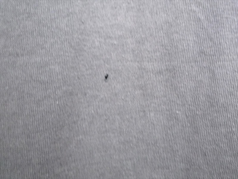 80�ǣ�HARLEY-DAVIDSON��KLAMATH FALLS