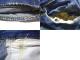 60�ǣ�LEVI'S501��66��BIG E
