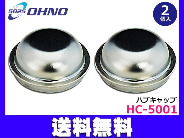 透明標本　ハブ頭部 写真14枚】毒ヘビ“ハブ”の拡大模型は約2メートルの超ド迫力！研究者