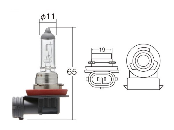 ハロゲン バルブ H11 ヘッド ランプ ライト 12V 55W PGJ19-2 T11