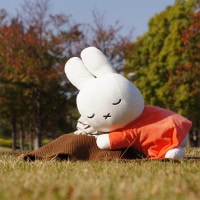 䤹եL ̤ ߥåե [248245][miffy][Dick Bruna]