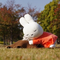 䤹եL ̤ ߥåե [248245][miffy][Dick Bruna]