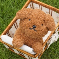 [601486] ֥롼ʥեߥ꡼ äͤ٤ ʥåե [miffy][Dick Bruna]