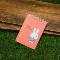 [EB316A] ߥåեۤ A7󥰥A miffy's birthday [miffy][Dick Bruna]