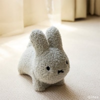 [06643] ֥롼ʥܥܥ դ⥳ ߥ  졼 [Bruna bon bon][miffy][ides]