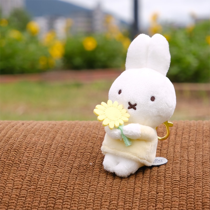 ミッフィー ちょっこりさん キャロット ちょっこりさん ミッフィー