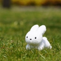 [660730] �֥롼�ʥե��ߥ꡼ ���˥ޥ�ޥ����å� ������ [miffy][Dick Bruna][L365HjPq]