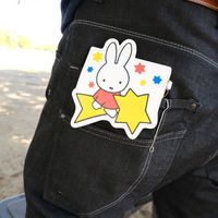 �ݥ��å��ѥڥ󥱡��� �ߥåե��� ������ [ST-ZMF0013][miffy][Dick Bruna]