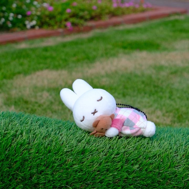 miffy (ミッフィー)・Dick Bruna キャラクターグッズの通販専門店
